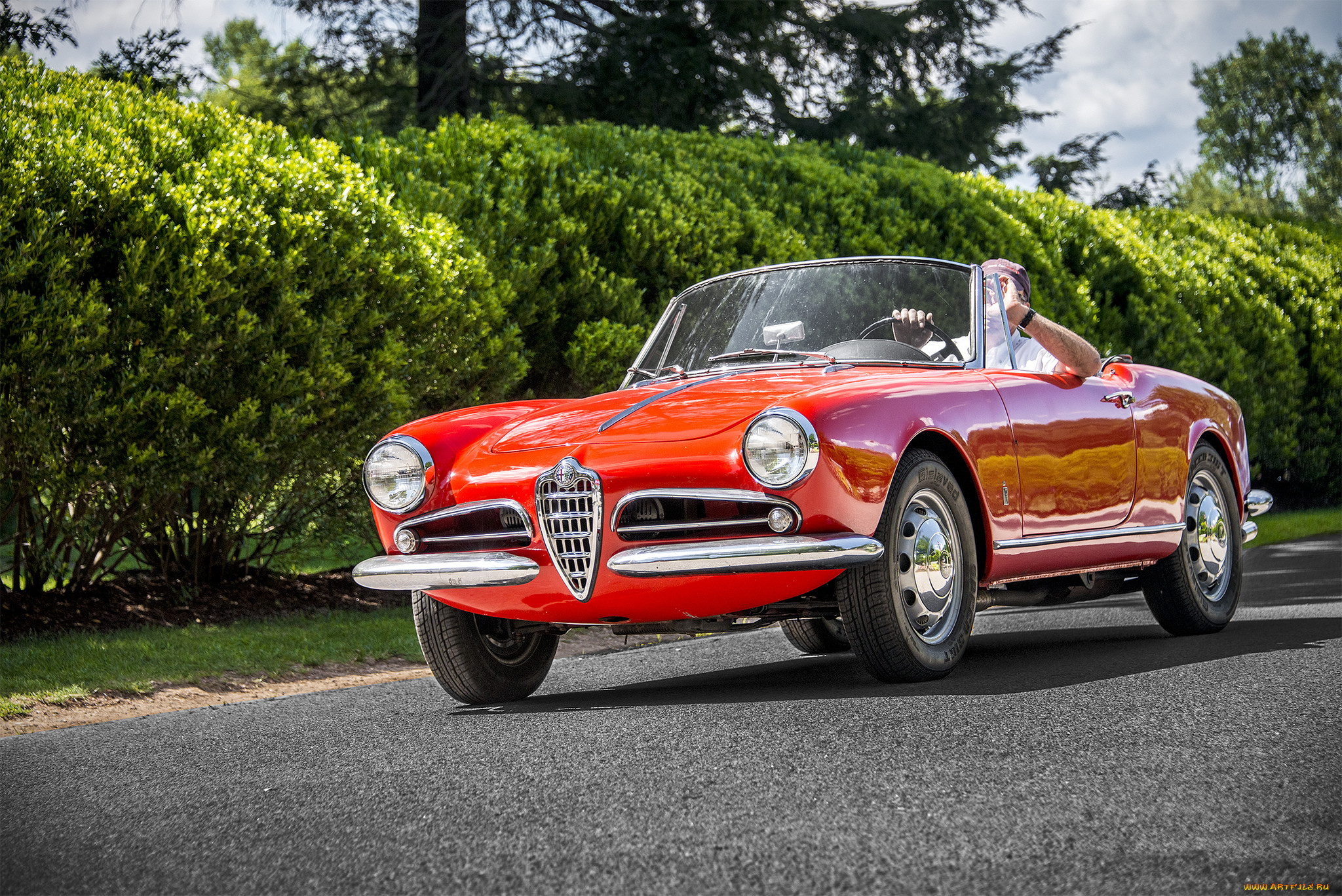 alfa romeo 1600, , alfa romeo, , , 